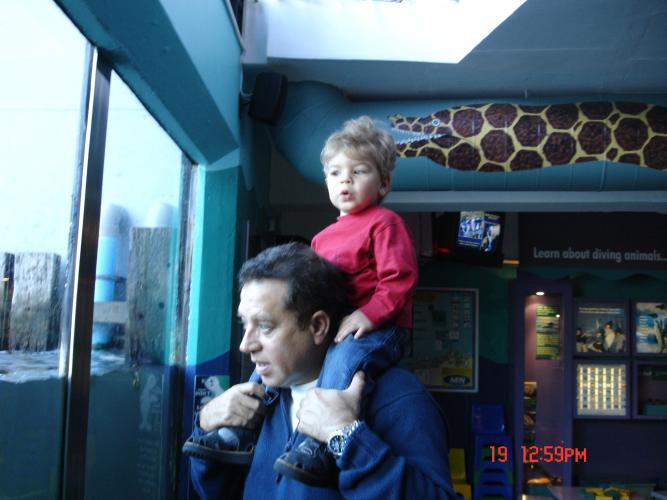 Nigel and little Brad at the aquarium Cape town 2006                                          